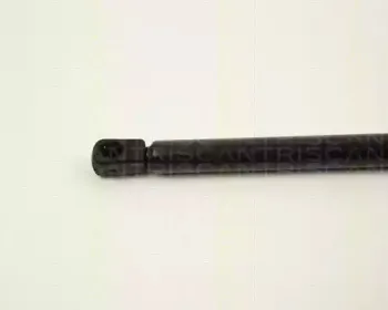 triscan-87102429