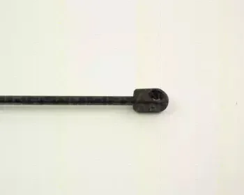 triscan-87102429