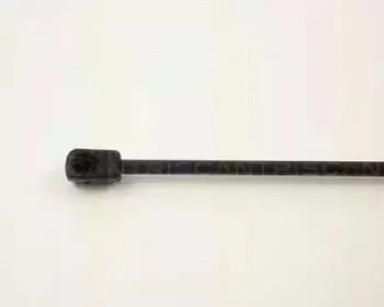 triscan-87102431