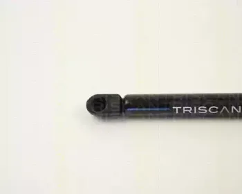 triscan-87102432
