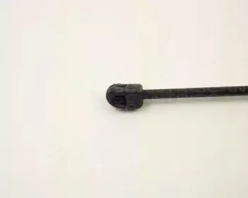 triscan-87102432