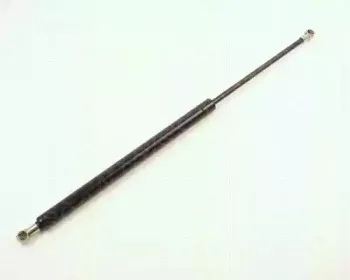 triscan-87102508
