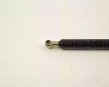 triscan-87102508