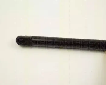 triscan-871025100