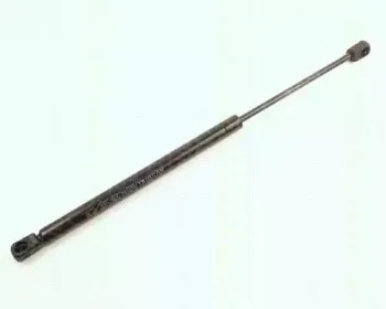 triscan-871025203