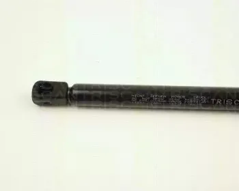 triscan-871025203