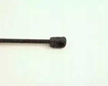 triscan-871025203