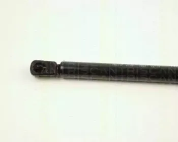 triscan-871025210