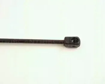 triscan-871025210