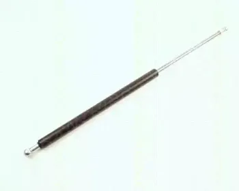 triscan-871025211