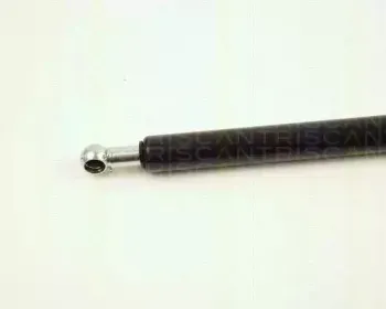 triscan-871025211