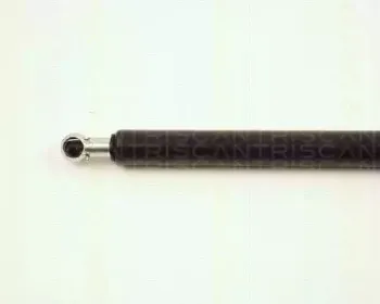 triscan-871025213