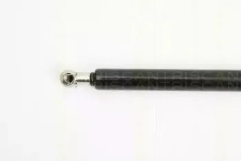 triscan-871025229