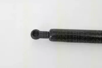 triscan-871025233