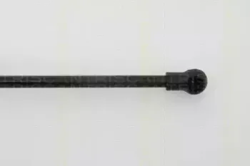 triscan-871025233