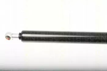 triscan-871025242