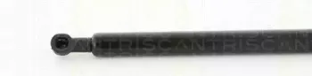 triscan-871025261