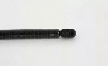 triscan-871025264
