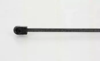 triscan-871025264