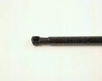 triscan-871027103