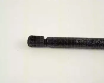 triscan-871027104
