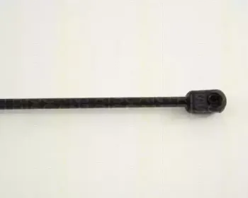 triscan-871027104