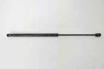 triscan-871027105