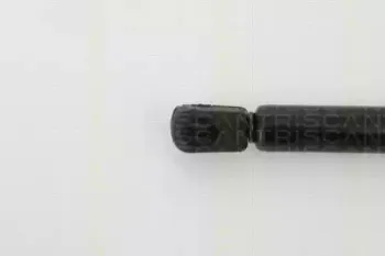 triscan-871027105