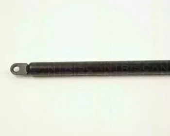 triscan-871027201