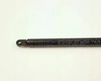 triscan-871027210