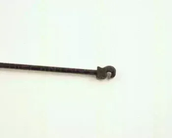 triscan-871027210