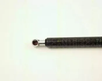 triscan-871027211