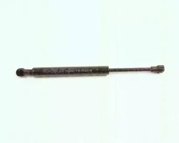 triscan-871027212