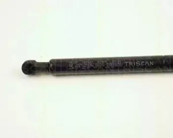 triscan-871027212