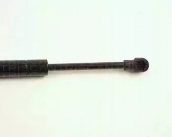 triscan-871027212