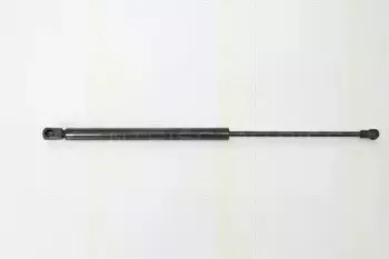 triscan-871027215