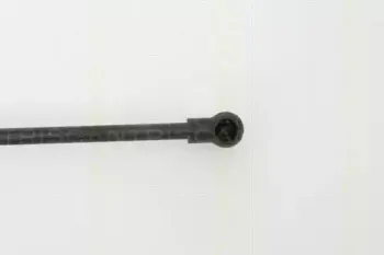 triscan-871027215