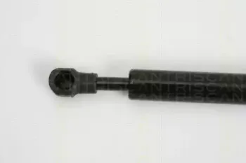 triscan-871027217