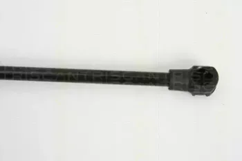triscan-871027217