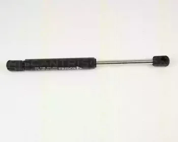 triscan-87102802
