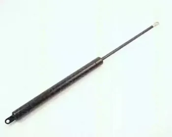 triscan-87102803