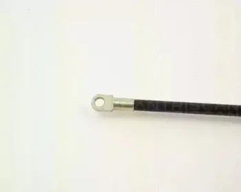 triscan-87102803