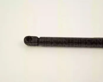 triscan-87102806