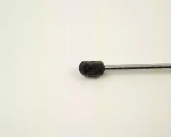 triscan-87102806