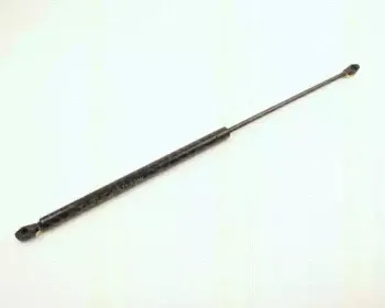triscan-87102808