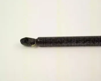 triscan-87102808