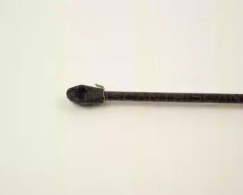 triscan-87102808