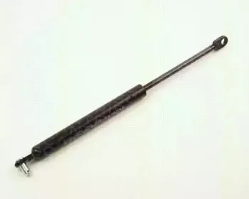 triscan-87102809