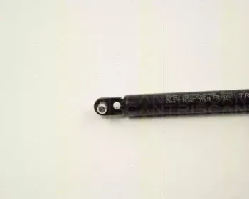 triscan-87102809