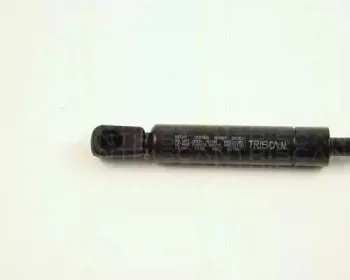 triscan-871028101